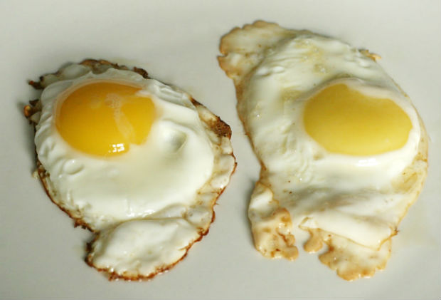 Sunny Side Eggs: Left-Barred Plymouth Rock vs. Right-Supermarket Brand Sunny Side Eggs: Barred Plymouth Rock vs. Supermarket Brand