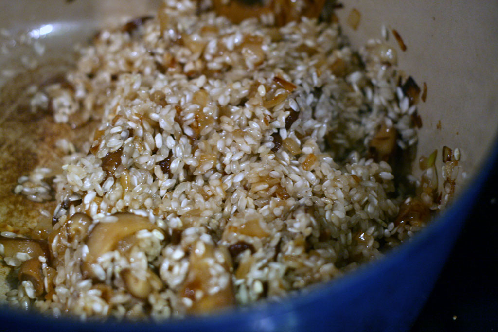 shiitake mushrooms, onions, garlic and rice all mixed together with some wine.