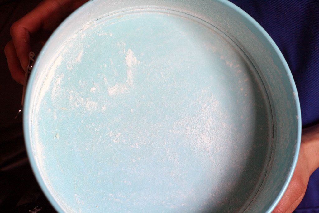 A light blue springform cake buttered pan dusted with flour.